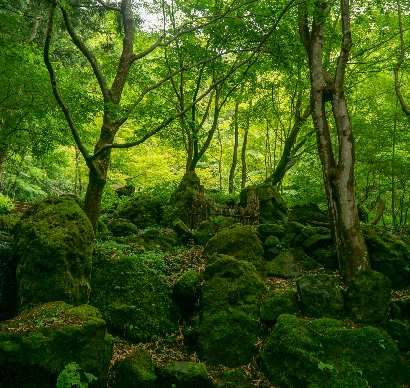 For nature,